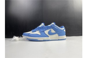 Nike Dunk Low Coast DD1503-100