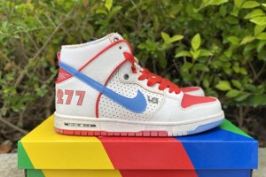 Magnus Walker x Nike Dunk SB High Pro Ishod Wair